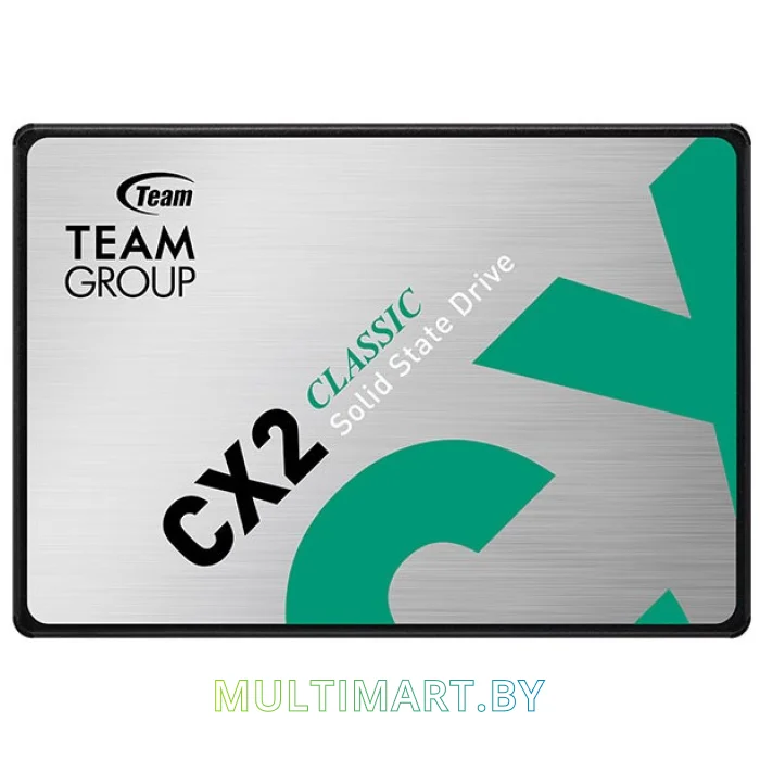 SSD диск Team CX2 256GB (T253X6256G0C101)